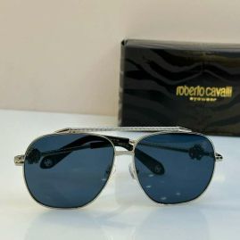 Picture of Roberto Cavalli Sunglasses _SKUfw55482491fw